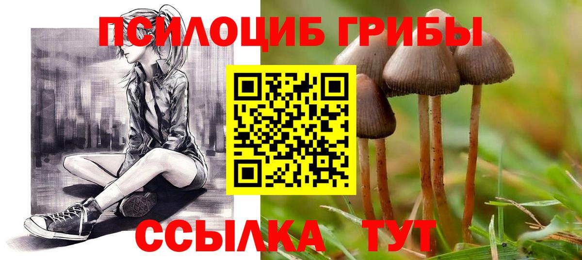 Галлюциногенные грибы прущие грибы Муравленко