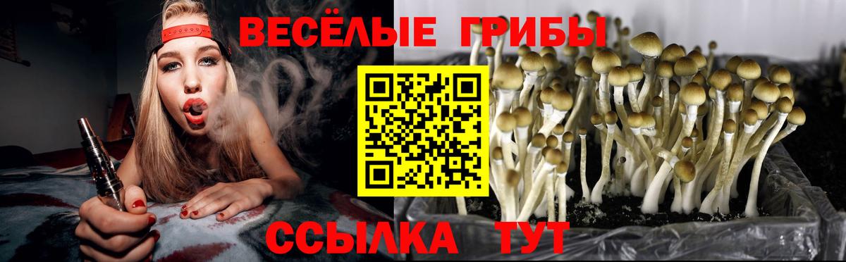 Псилоцибиновые грибы мухоморы  Вход с VPN  Муравленко  Галлюциногенные грибы Psilocybine cubensis 