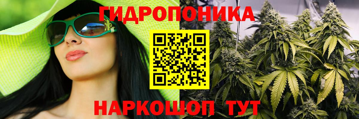 Бошки марихуана конопля  Вход с VPN  Марихуана Ganja  Марихуана Ganja  Муравленко  МАРИХУАНА SATIVA & INDICA 